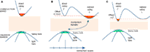 www.frontiersin.org