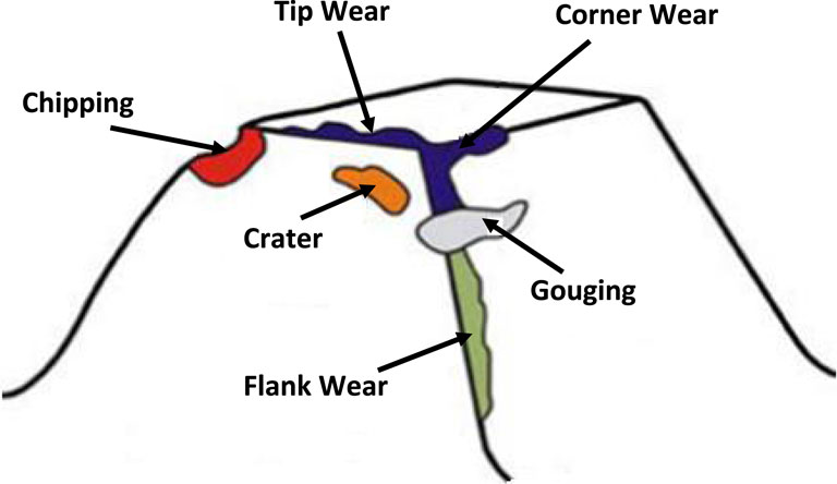www.frontiersin.org