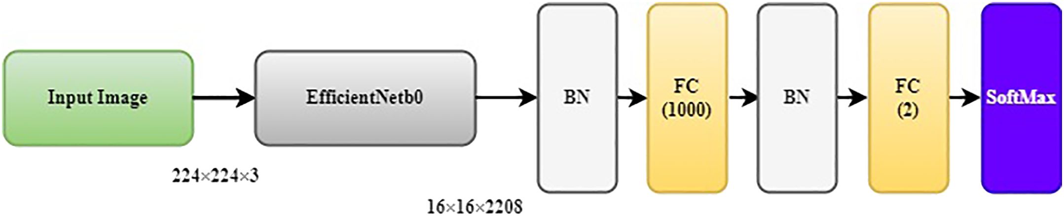 www.frontiersin.org