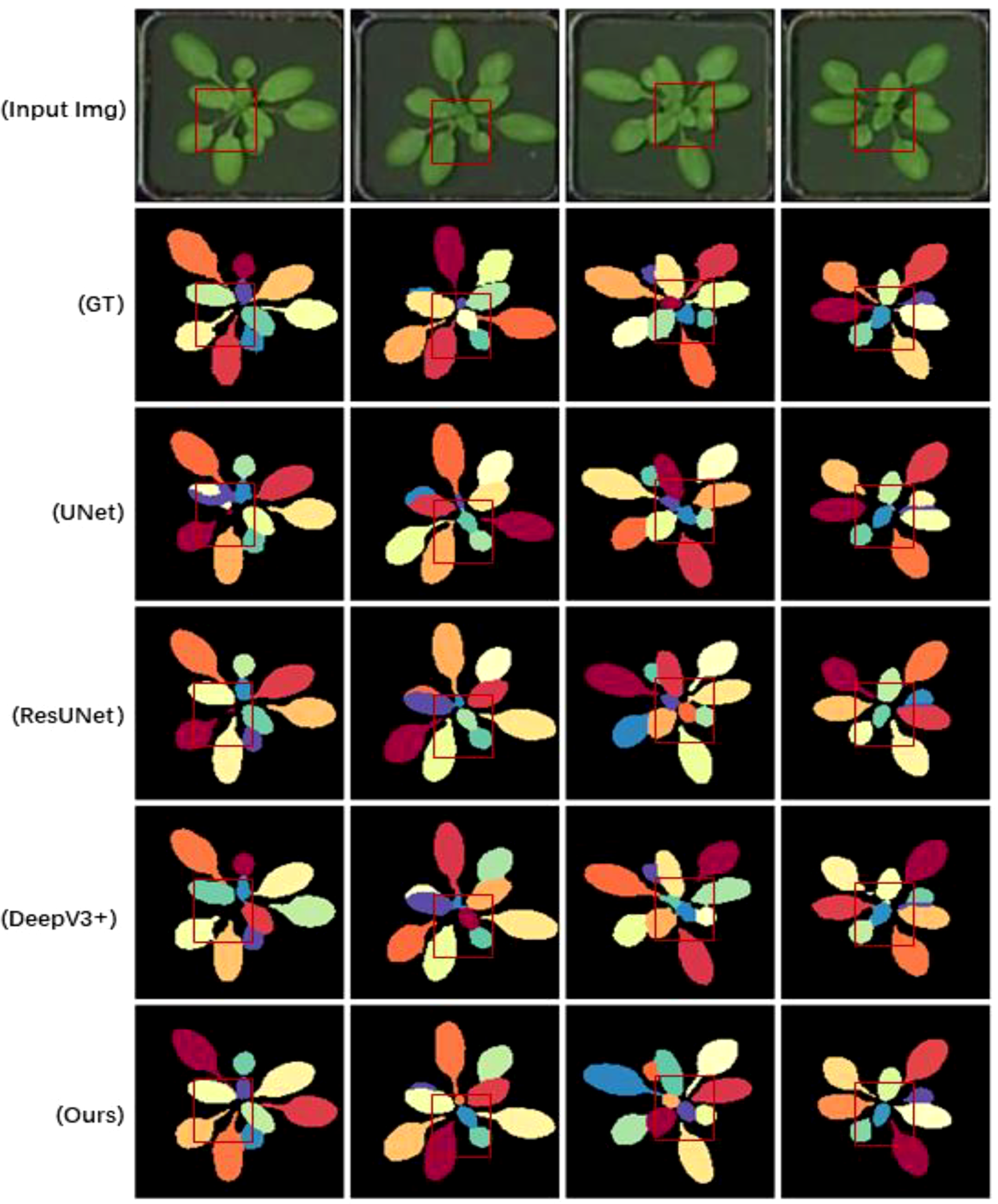 Comparison of segmentation methods on plant images. The rows represent different methods: Input Image, GT, UNet, ResUNet, DeepV3+, and Ours. Each column shows results for different plant images. Colored segments highlight differences in segmentation accuracy. Red boxes focus on specific areas for detailed comparison.