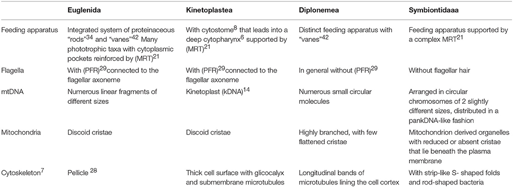 Euglena Classification Chart