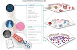 Frontiers | Bioregulatory systems medicine: an innovative approach to ...