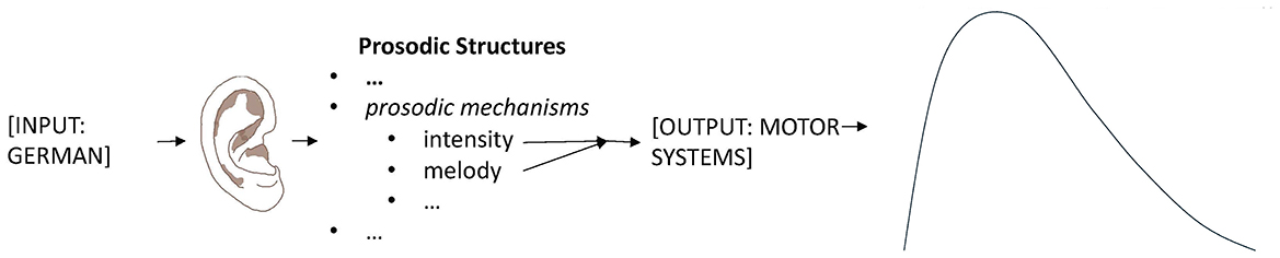 www.frontiersin.org