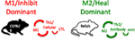 www.frontiersin.org