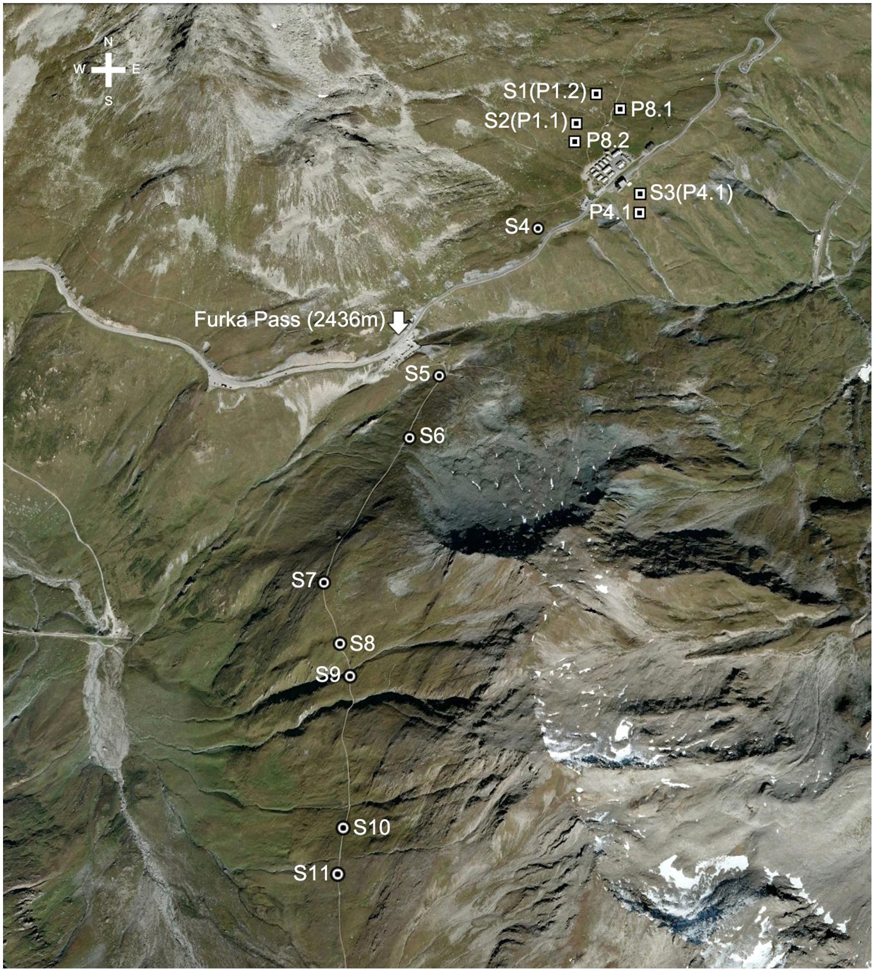 www.frontiersin.org