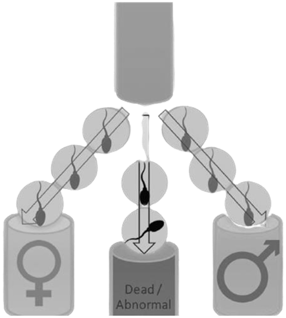 www.frontiersin.org