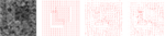 www.frontiersin.org