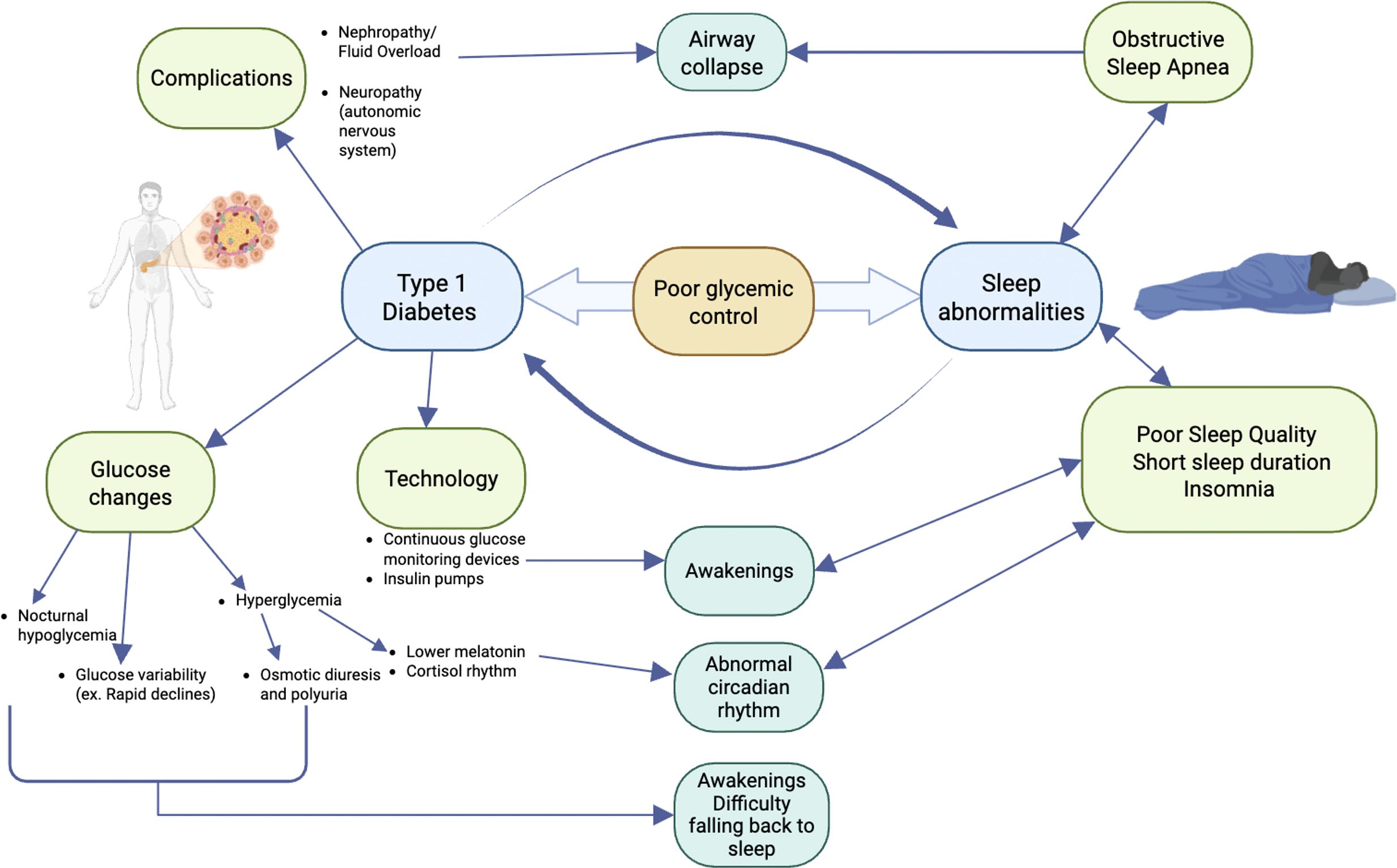 Flowchart illustrating the relationship between Type 1 Diabetes and various factors. Central to the diagram is Type 1 Diabetes, linked to poor glycemic control and sleep abnormalities. Contributing elements include complications like nephropathy and neuropathy, as well as glucose changes such as hyperglycemia. Technology impacts glucose monitoring and sleep issues involve apnea and insomnia. Arrows depict connections among these items, emphasizing the interplay between diabetes management, glucose levels, and sleep patterns. A sleeping figure represents sleep abnormalities.
