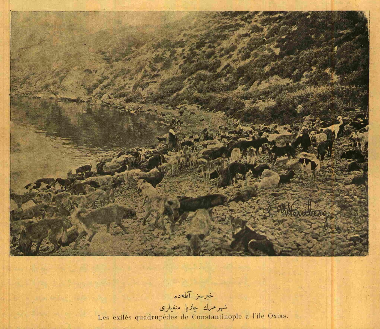 www.frontiersin.org