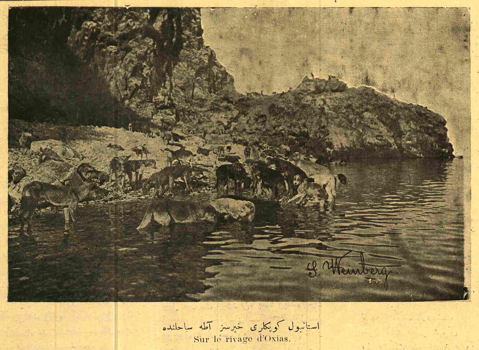 www.frontiersin.org