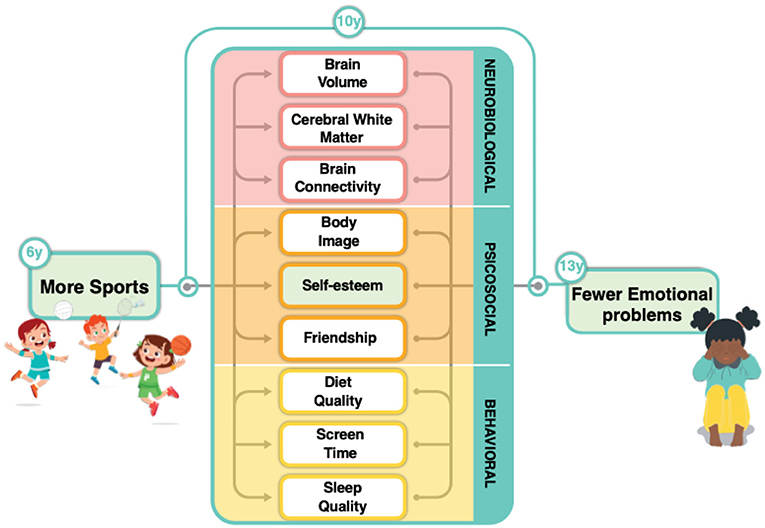 Figure 2 - We examined three types of mechanisms that might connect sports participation to fewer emotional problems in young people.