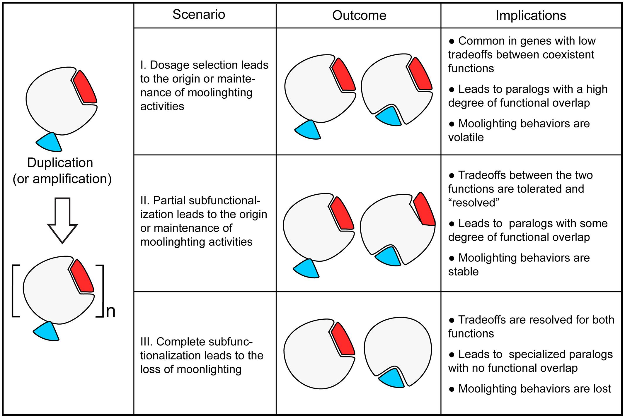 online haloalkyne chemistry