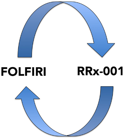 www.frontiersin.org