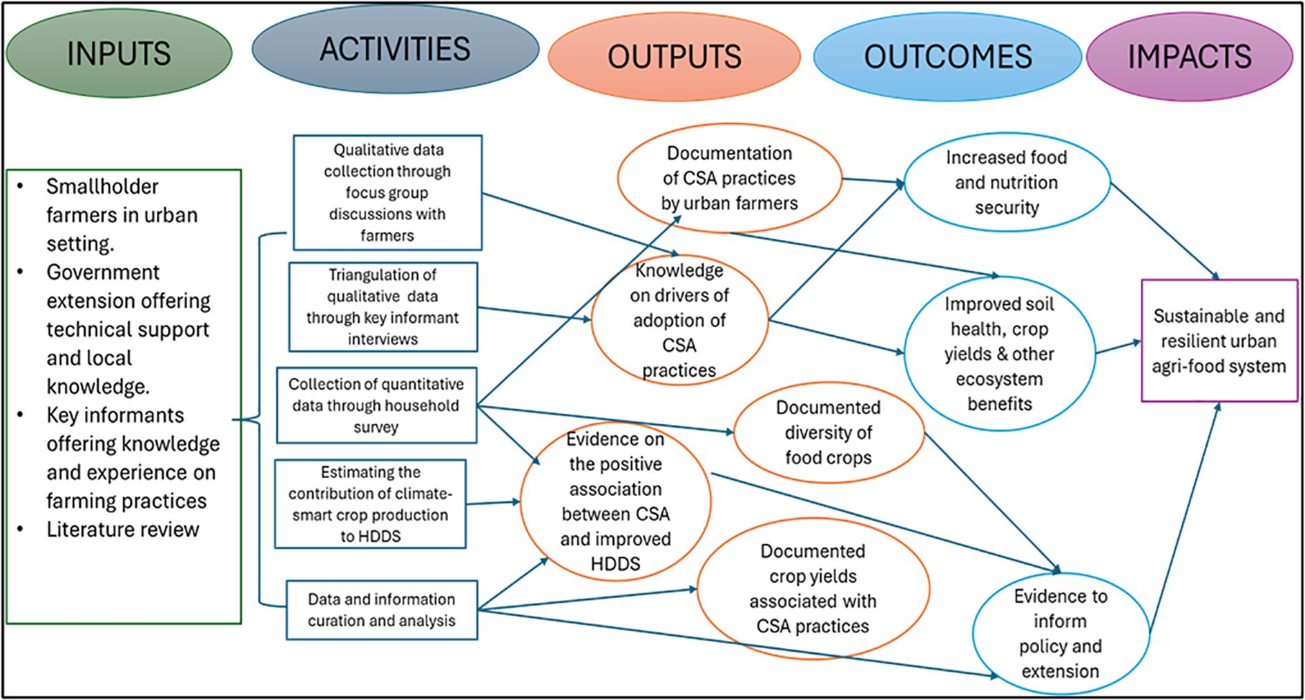 Flowchart illustrating the process from inputs to impacts for an urban agri-food system. Inputs include smallholder farmers, government support, and literature review. Activities involve collecting qualitative and quantitative data. Outputs focus on knowledge and documentation of CSA practices. Outcomes include increased food security and improved ecosystem benefits. The final impact is a sustainable and resilient urban agri-food system. Arrows show the progression from inputs to activities, then to outputs, outcomes, and impacts.