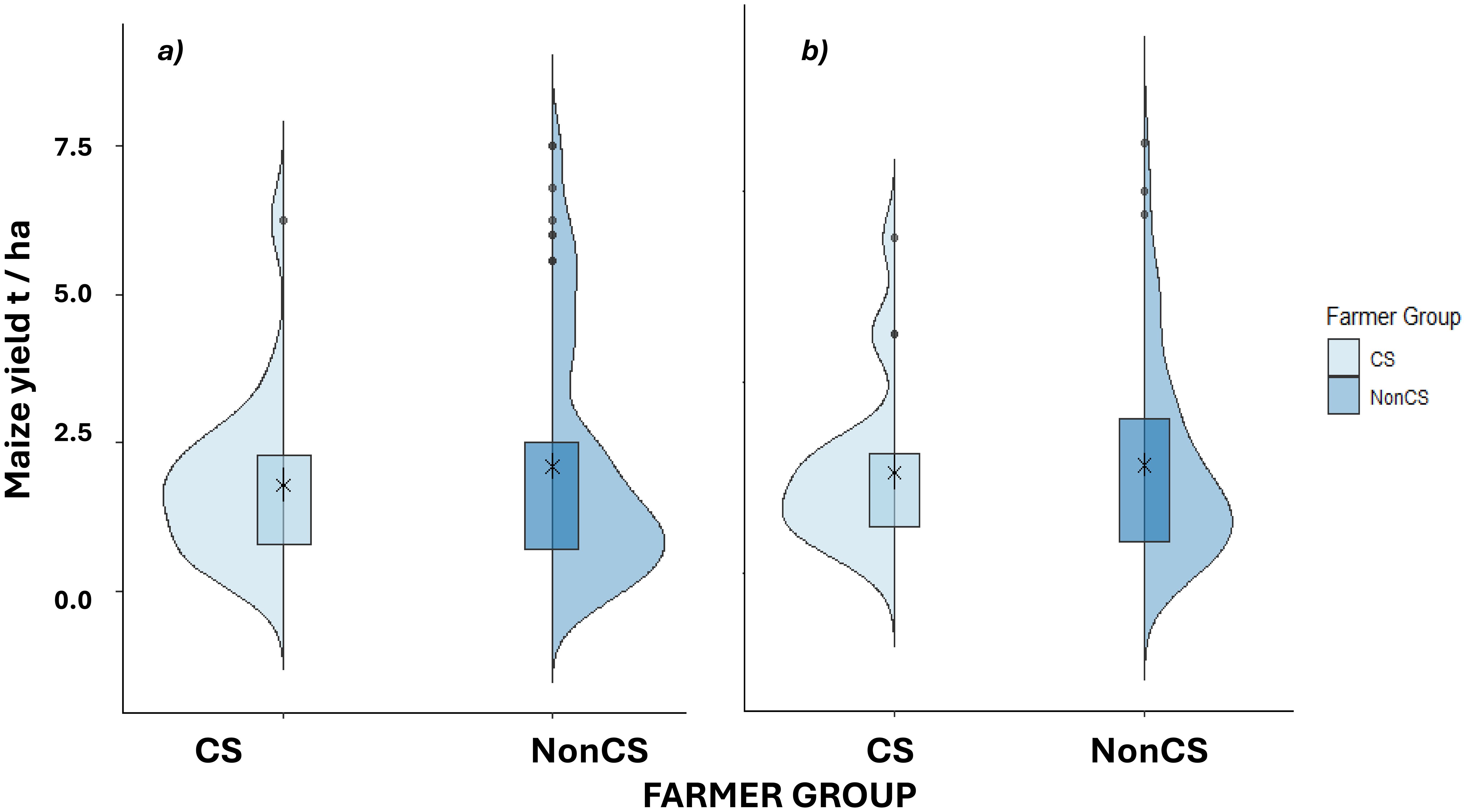 Violin plots with box plots for maize yield in tons per hectare over two seasons, 2019-2020 and 2020-2021. Each season compares two farmer groups: CS and NonCS. NonCS consistently shows higher yields.