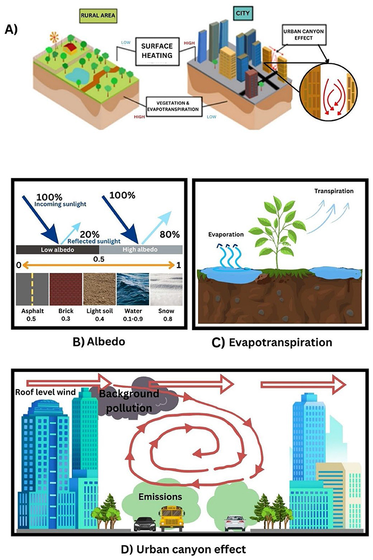 Figure 1 - (A) Differences between a rural area and a city.