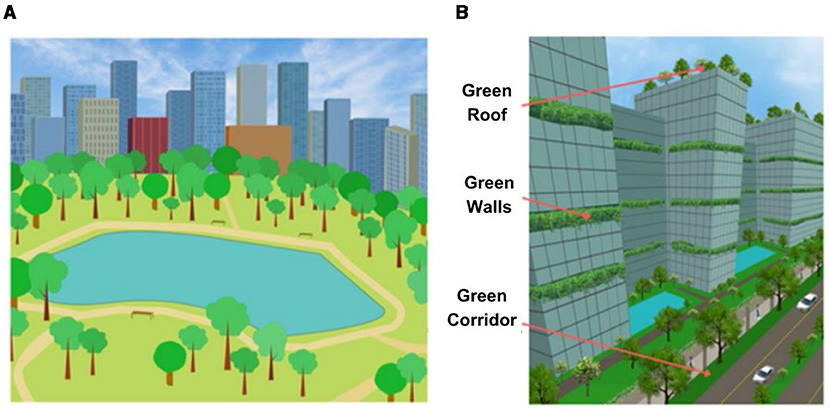 Figure 2 - (A) Urban parks and water bodies help to cool down a city.