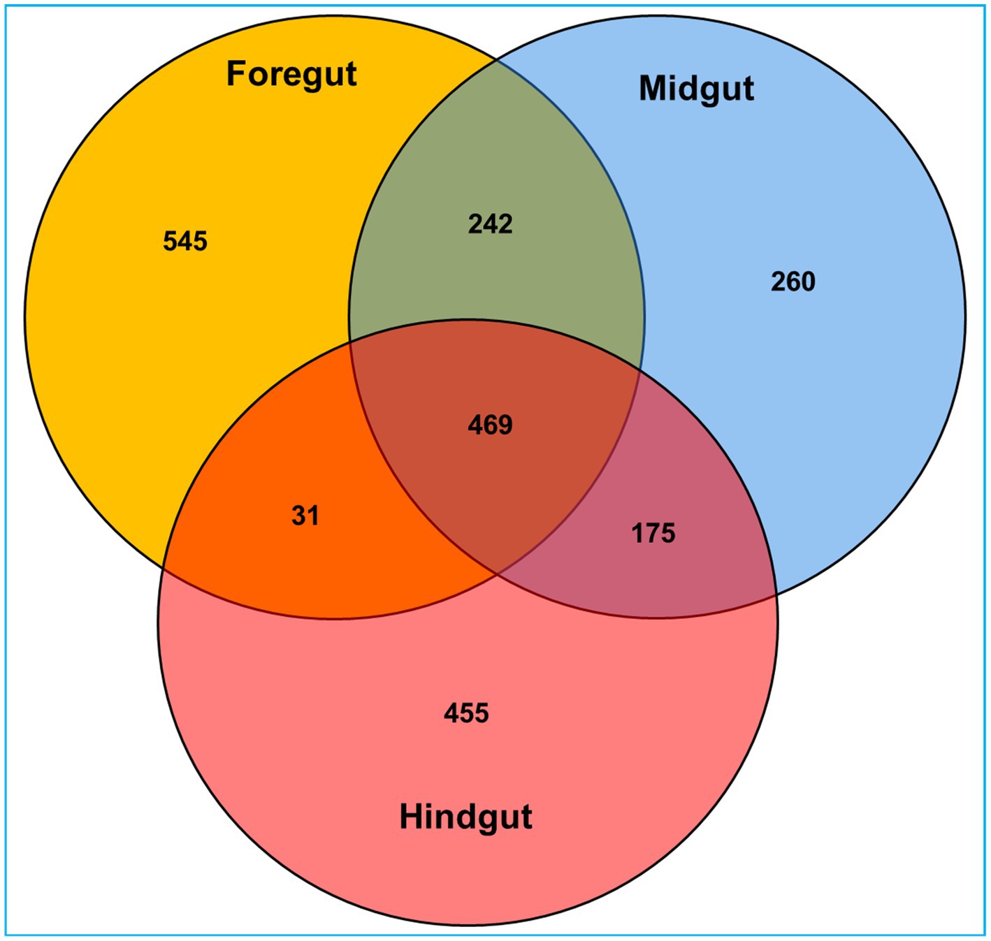 www.frontiersin.org