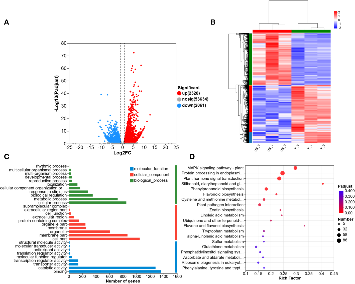 Transcriptome analysis of L. lancifolium under 0 and 2.0 mmol/L Se treatments. (A) Statistics of the DEGs. (B) Hierarchical clustering analysis of DEGs. (C) Statistical analysis of the enriched GO terms. (D) KEGG pathway enrichment of the DEGs.