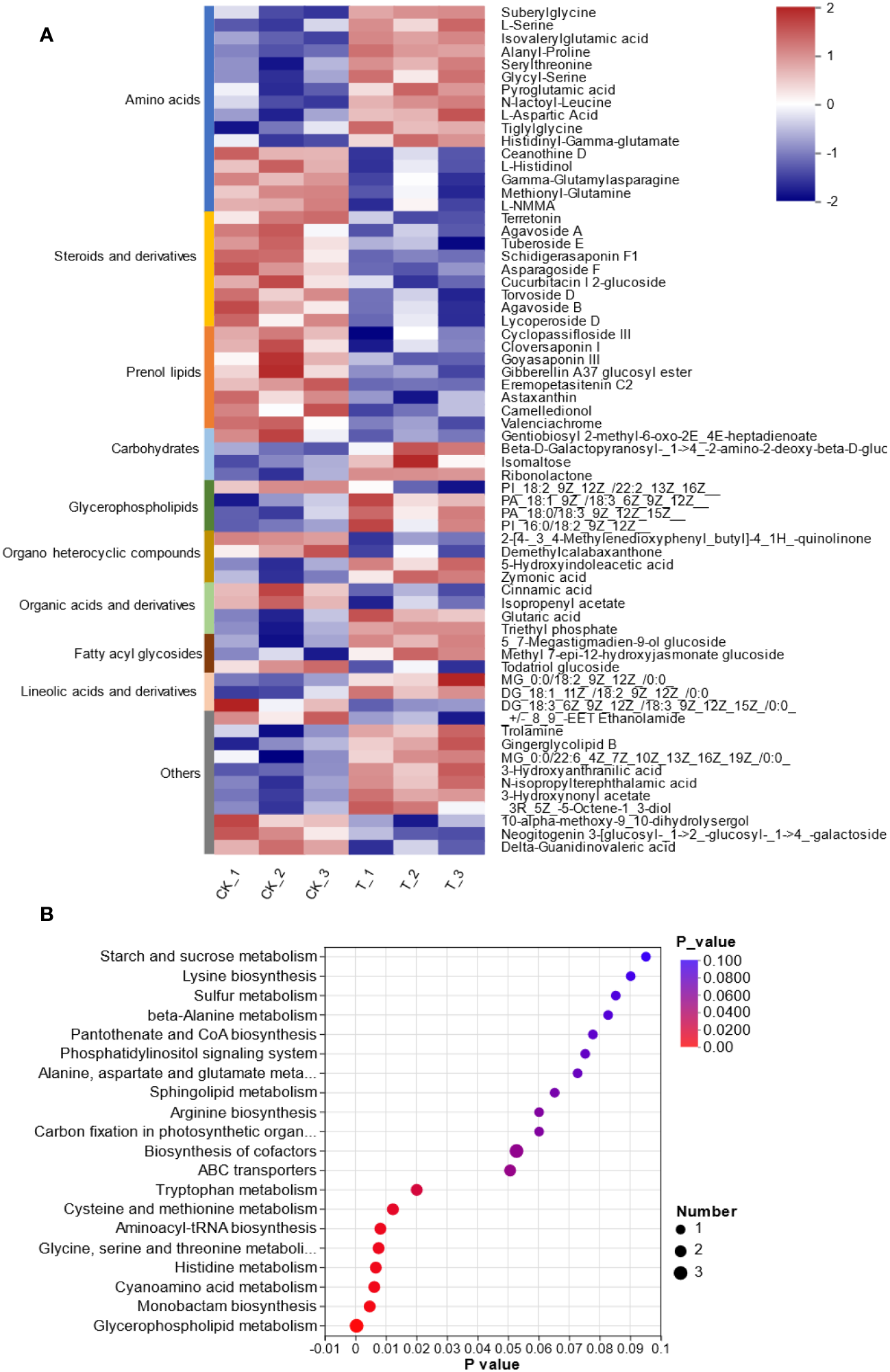 Metabolomic analysis of L. lancifolium under 0 and 2.0 mmol/L Se treatments. (A) Clustering analysis of the DEMs. (B) KEGG pathway enrichment of the DEMs.