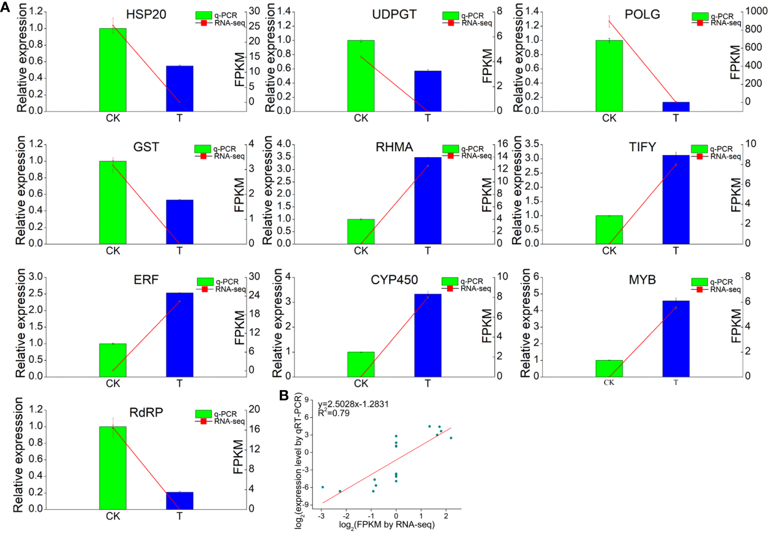 RNA-seq analysis and quantitative RT−qPCR validation of genes differentially expressed between the 0 and 2.0 mmol/L Se treatment groups. (A) Correlations between the RNA-seq and RT−qPCR results for the selected individual genes. (B) Correlations between the RNA-seq and RT−qPCR results for all the selected genes. GAPDH gene was used as the reference gene. Three technical replicates were performed.