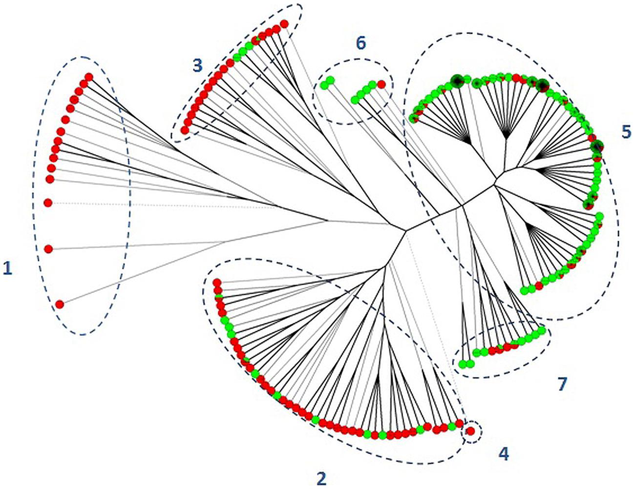 view computational methods for three