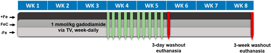 www.frontiersin.org