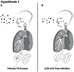 Frontiers | Quantity and Quality of Inhaled Dose Predicts ...