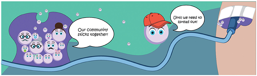 Figure 1 - A biofilm works like a big community, in which cells of different ages and functions work together to help each other survive and eventually spread to other places.