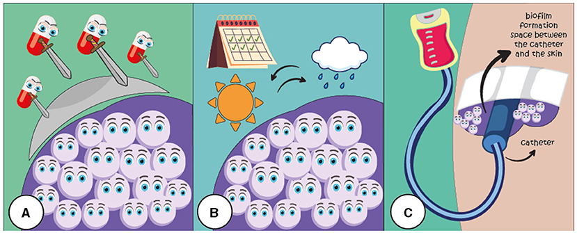 Figure 3 - Fungal biofilms create several challenges in the hospitals.