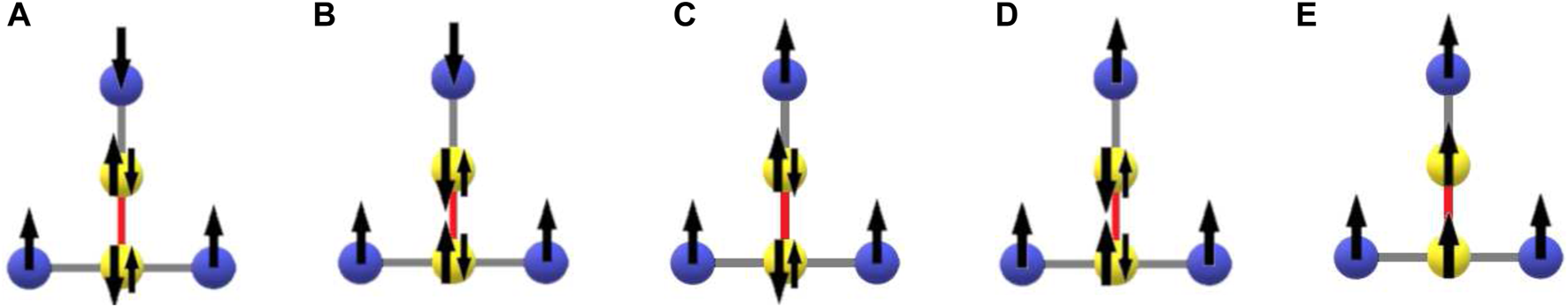 FIGURE 3