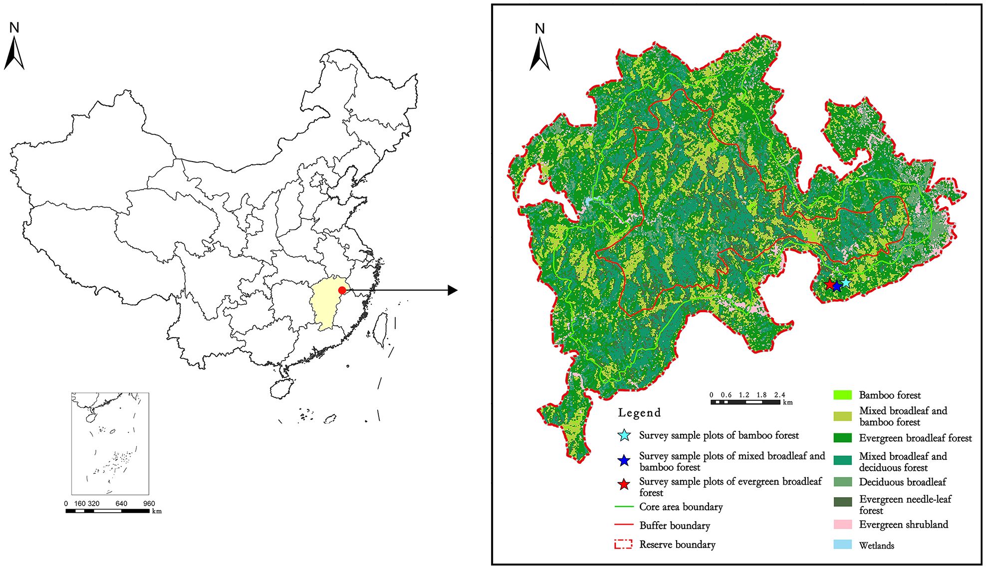 Frontiers | Trait divergence and opposite above- and below-ground strategies facilitate moso bamboo invasion into subtropical evergreen broadleaf forest Frontiers | Trait divergence and opposite above- and below-ground strategies facilitate moso bamboo invasion into subtropical evergreen broadleaf forest