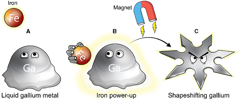 Figure 2 - (A) A liquid metal gallium (Ga) droplet finds an iron (Fe) power-up.