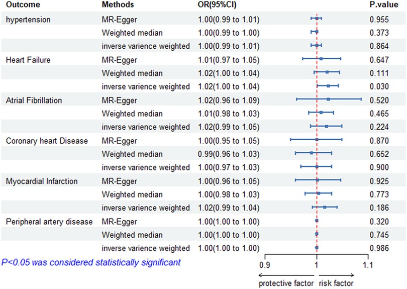 Forest plot table showing outcomes of hypertension, heart failure, atrial fibrillation, coronary heart disease, myocardial infarction, and peripheral artery disease. Methods include MR-Egger, weighted median, and inverse variance weighted. Odds ratios are close to one, with confidence intervals provided. P-values are mostly above 0.05, indicating no statistical significance. The chart ranges from protective to risk factors.