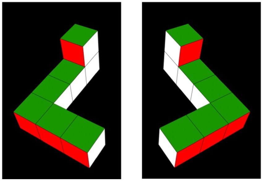 www.frontiersin.org