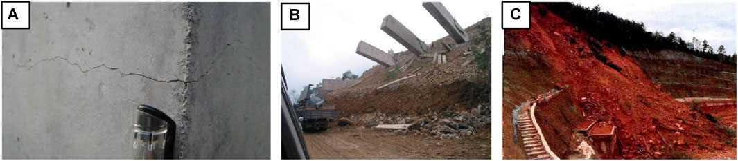 www.frontiersin.org