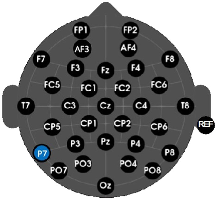 www.frontiersin.org