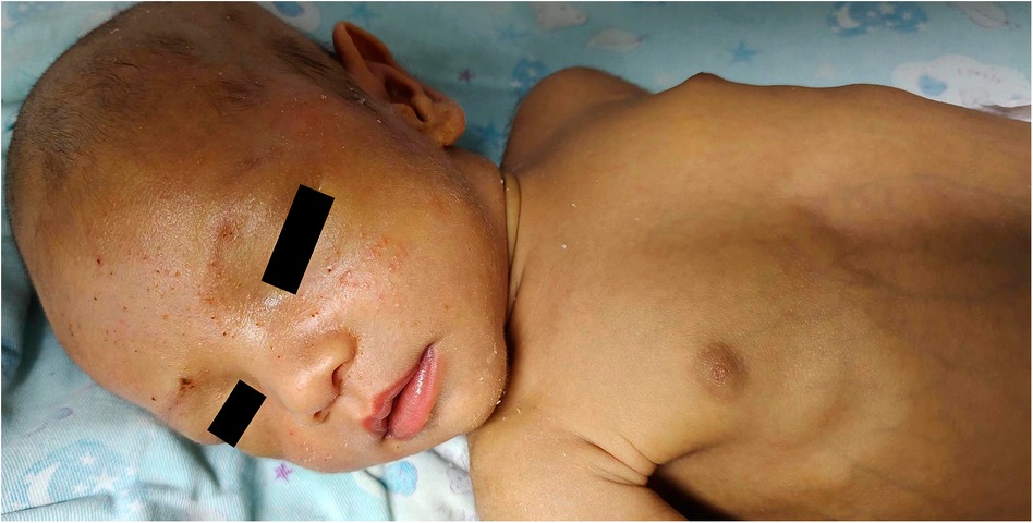 www.frontiersin.org