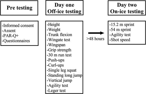 Frontiers The relationship between off ice testing and on ice performance in male youth Ice hockey players