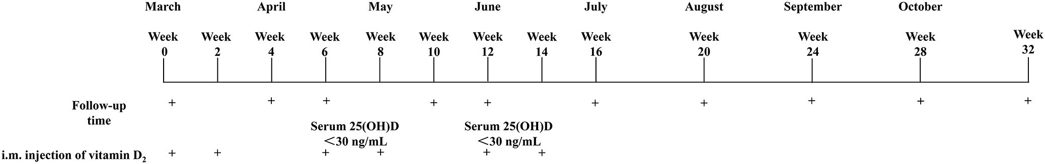 Timeline detailing vitamin D2 injection and follow-up schedule from March to October, marked by specific weeks. Injections and follow-ups occur at weeks 0, 2, 4, 6, 8, 10, 12, 14, 16, 20, 24, 28, and 32. Serum 25(OH)D levels are checked at weeks 8 and 12, noted as below thirty nanograms per milliliter.