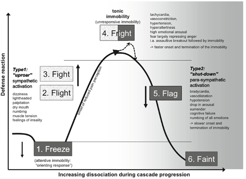 www.frontiersin.org
