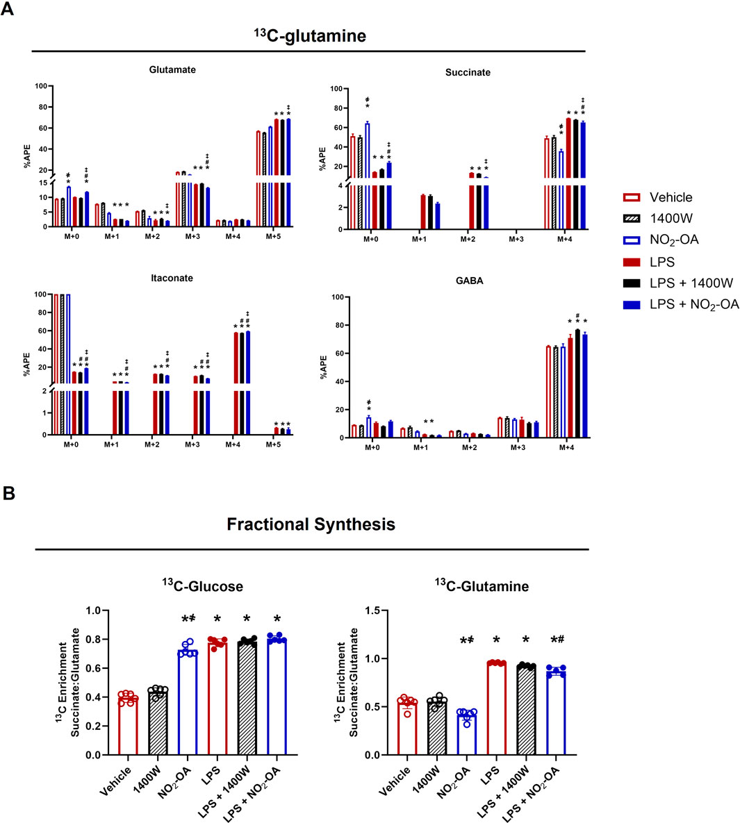 Graph A displays bar charts for metabolites Glutamate, Succinate, Itaconate, and GABA, showing percentage atom percent excess (APE) across different conditions: Vehicle, 1400W, NO2-OA, LPS, LPS