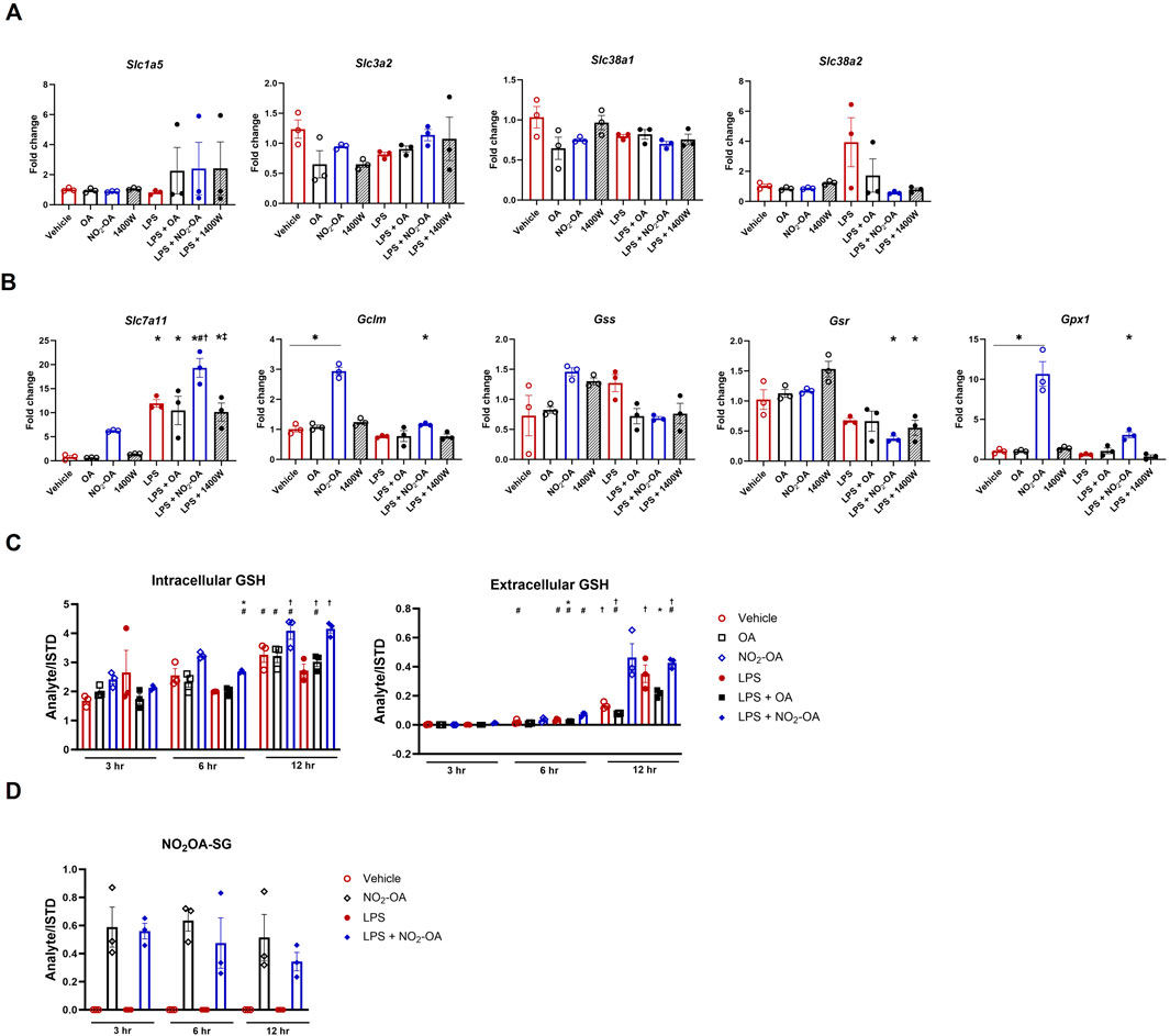 Bar graphs display experimental data on gene expression and GSH levels under different treatments. Each panel (A-D) shows fold changes or analyte/STD ratios for various conditions such as Vehicle, OA, NO2-OA, LPS, and combinations. Error bars indicate variability, and significant differences are marked with asterisks.