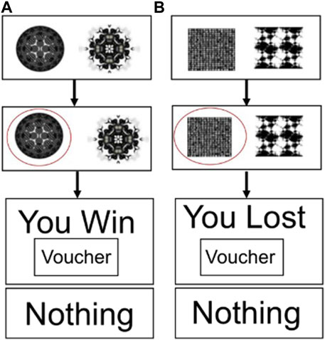 www.frontiersin.org