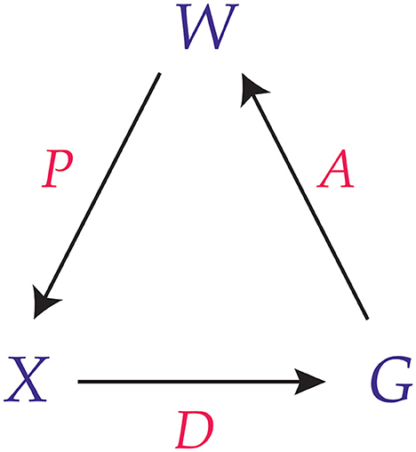 www.frontiersin.org