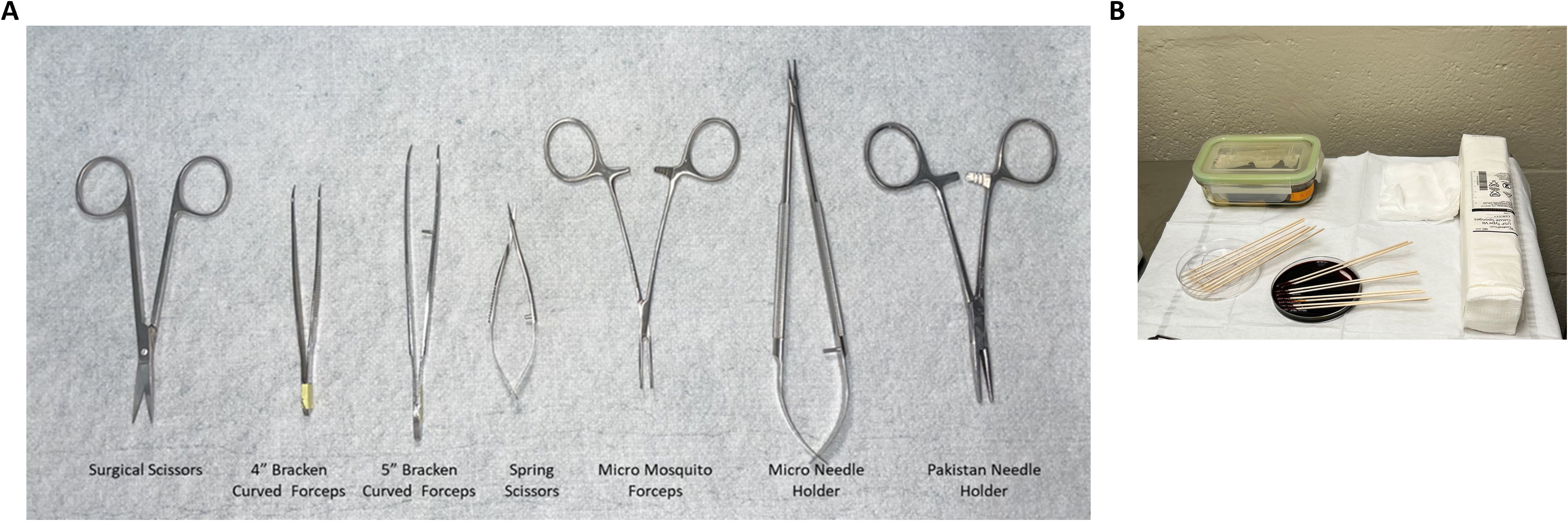 A two-part image showing procedures for preparing a mouse for surgery. Part A is an illustration outlining steps: hair removal, anesthesia induction in a chamber, administration of analgesics, and use of a SomnoSuite system. Part B shows a photograph of a mouse lying on its back with a shaved abdomen, connected to an anesthetic apparatus.