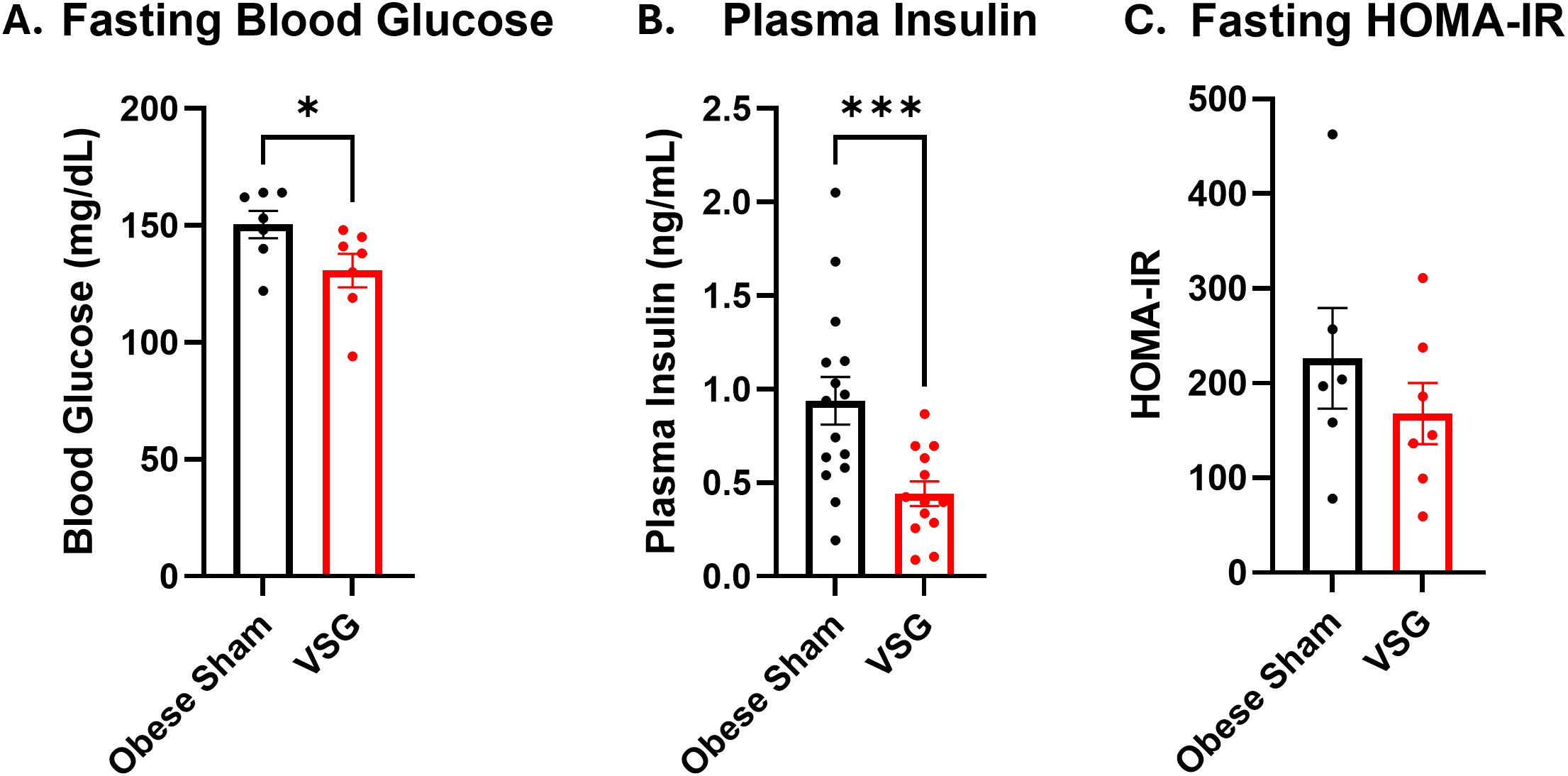 Bar graphs showing three measurements: A) Fasting blood glucose, B) Plasma insulin, and C) Fasting HOMA-IR. Each graph compares two groups: Obese Sham (black) and VSG (red). Graph A shows a significant decrease in glucose for VSG. Graph B indicates a highly significant reduction in insulin for VSG. Graph C shows a decrease in HOMA-IR for VSG. Data are plotted with mean and standard error bars.
