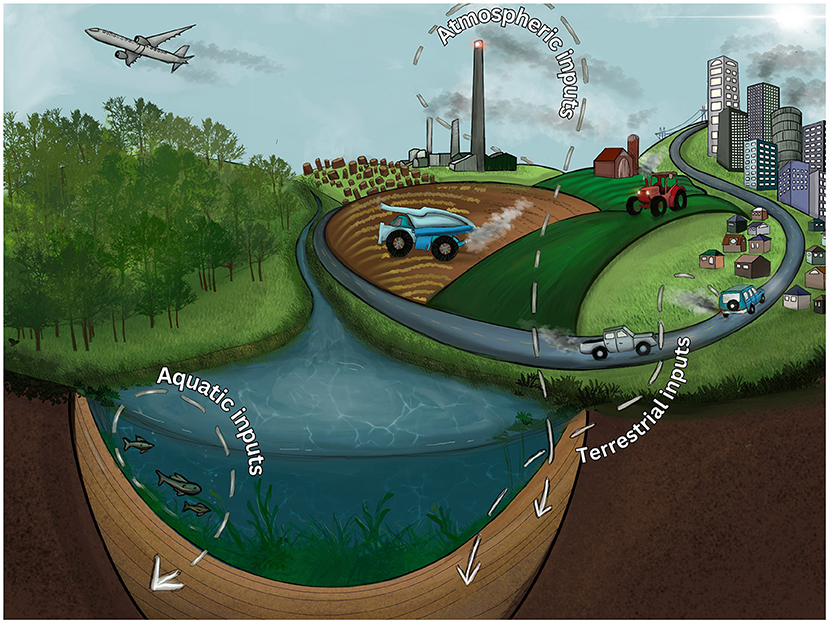 Illustration showing a landscape with various environmental inputs. An airplane flies above, suggesting atmospheric inputs. A river flows through the scene, labeled aquatic inputs, with fish visible. Vehicles and farm equipment operate on fields and roads, indicating terrestrial inputs. A factory and cityscape are in the background, highlighting industrial influences on the environment. Arrows represent the flow and interaction of these elements.