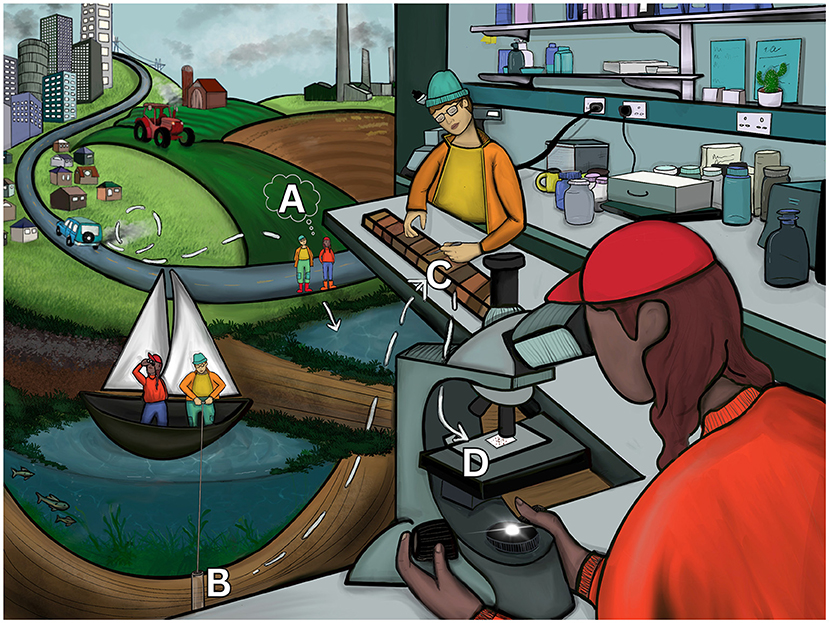 Illustration showing interconnected scenes of environmental monitoring and agriculture. In the background, a city leads to rural fields and a tractor. In the midground, people fish from a boat on a river. In the foreground, two scientists analyze samples in a lab, using instruments. Arrows connect the scenes, representing the flow of water and information.