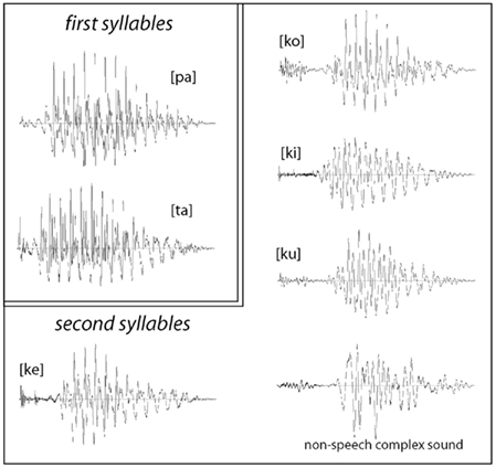 vocab.txt · hidude562/Wiki-Complexity at  8f97817265f78925c9453b1c6dec5ba1f03184ed